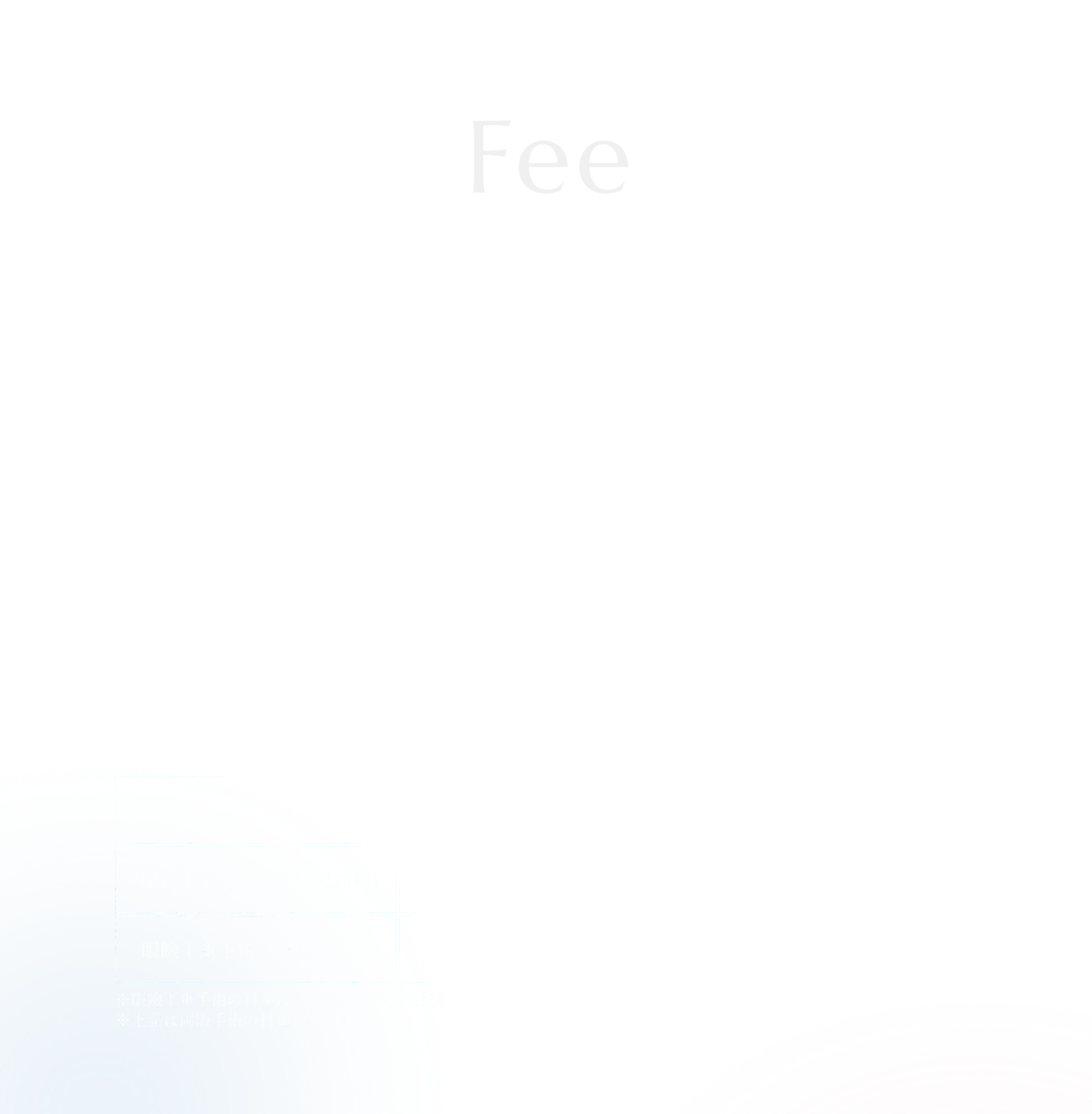 料金