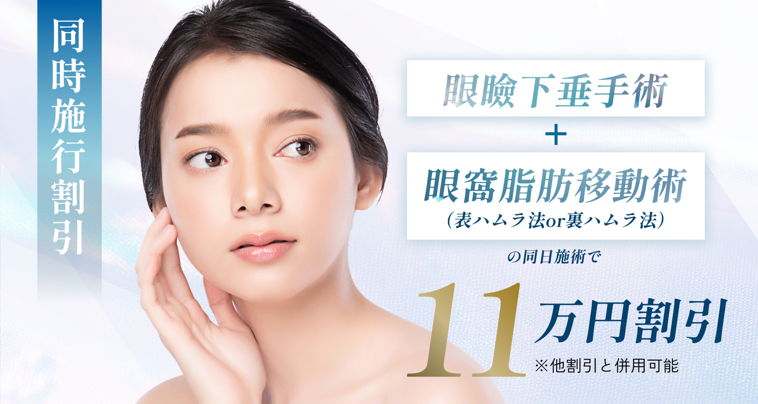 キャンペーン同時施行割（11万円OFF）